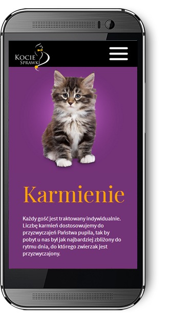 responsive web design