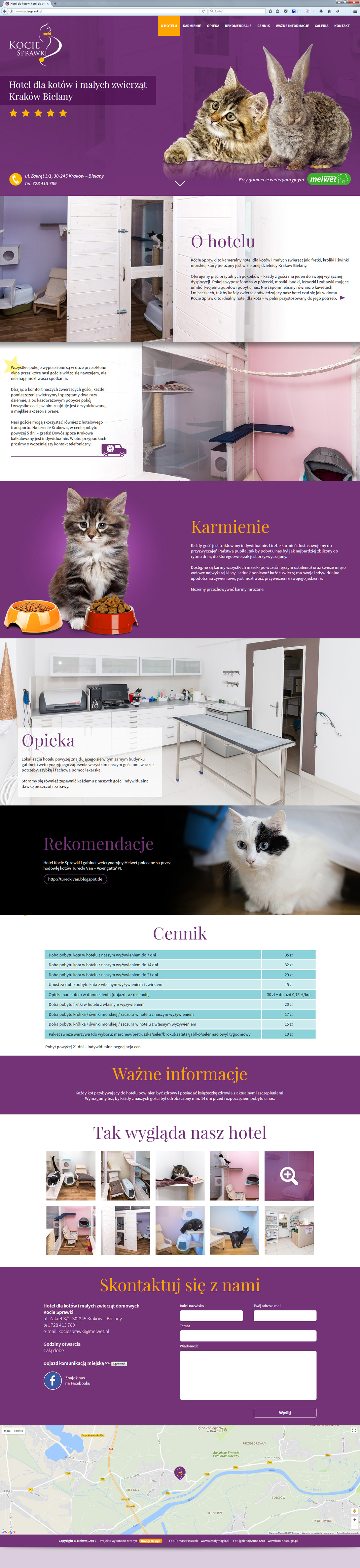 strona www hotelu dla kotów i małych zwierząt domowych